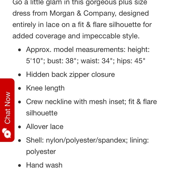 Plus Size Fit & Flare Lace Dress - Picture 6 of 6